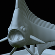 mahi-mahi-model-1-41.png fish mahi mahi / common dolphin trophy statue detailed texture for 3d printing