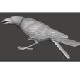 l4.jpg Fichier STL Seletti - Lampe pour oiseaux - Lampara de pajaro・Modèle pour imprimante 3D à télécharger