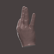4.png HUMAN HAND SCANED 2