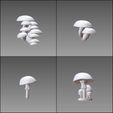 type1.jpg Base Bits 2 - Mushrooms 1 - 15 pieces