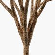 13.jpg Tree Bark PBR Texture