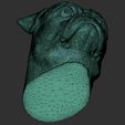 28.jpg Pug head for 3D printing