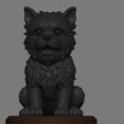 Affenpinscher-render-1.jpg Affenpinscher Dog
