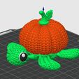Capture02.jpg Pumpkin Turtle Articulated