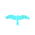 untitled.png flexible bird