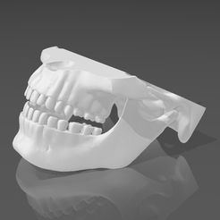 dentadura.png Archivo STL Mandibula articulada / articulated jaw・Objeto imprimible en 3D para descargar