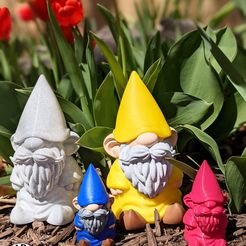Polish_20210412_153230165.jpg Free STL file Gus the Gnome・3D printable object to download