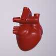 a005_Camera-1.png Archivo STL Corazón humano・Diseño de impresión en 3D para descargar