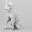 CAT.232.jpg Flux 2024 Cat - Cat