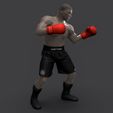 Preview_6.jpg Mike Tyson Fighting