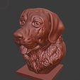 9e1f9470d5ce1b354234d888603adc7b_display_large.jpg Labrador Retriever bust (Dog head)