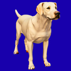 Alert best STL files for 3D printer・137 free models to download・Cults