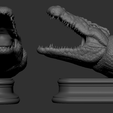 09.png Cabeça de crocodilo