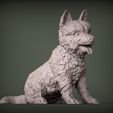 cairn-terrier-3d-model-a6a398259b.jpg 3D-Datei Cairn Terrier 3D-Druck Modell・Design für 3D-Drucker zum herunterladen