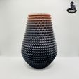 IMG_14421.jpg Extraordinary Zigzag Vase - 3 Designs