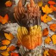 375019994_884386009982495_714432060919644373_n.jpg Pumolotl A Pumpkin Axolotl