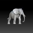 ele2222.jpg Elephant