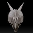 QQ截图20210315233316.jpg Einiosaurus  head