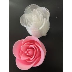 85ede9f9c794119581fafd055b99b5c6_preview_featured.jpg Бесплатный 3D файл Closed Rose・Модель 3D-принтера для загрузки