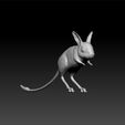 jer1.jpg Jerboa - Rodents 3d print - Jerboa  3d model for 3d print