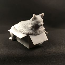 Preview1.jpg STL-Datei Fette Katze im Karton・Design für 3D-Drucker zum herunterladen