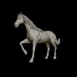 12.jpg American Quarter Horse model 3D print model