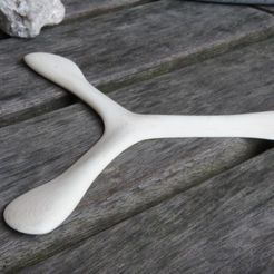 DSC03757_display_large.JPG Free STL file Boomerang・3D print design to download
