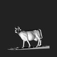 c2.jpg Cow scan - cow farm