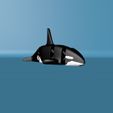 Killer-whale.jpg Articulated Killer whale