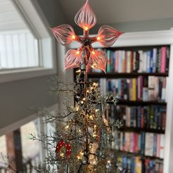 IMG_5217.jpg Star Christmas Tree Topper
