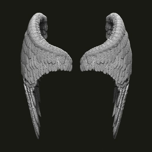 🪶 Wings Printable・ STL File for 3D printing・Cults