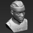 11.jpg Allen Iverson bust 3D printing ready stl obj formats