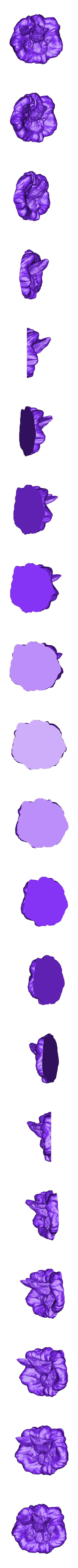 Trunks GT - Base.stl GT Trunks