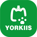 yorkiis