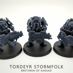Final-Group-Wide.png 3D file Tordeyr Stormfolk・3D printing design to download
