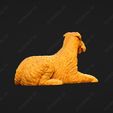 206-Airedale_Terrier_Pose_08.jpg Airedale Terrier Dog 3D Print Model Pose 08