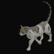 yuh.png CAT - DOWNLOAD CAT 3d model - animated for blender-fbx-unity-maya-unreal-c4d-3ds max - 3D printing CAT CAT - POKÉMON - FELINE - LION - TIGER
