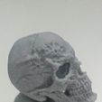 3.jpg Файл STL Horror Skull・Модель 3D-принтера для скачивания
