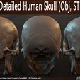 Highly-Detailed-Human-Skull-003.jpg Highly Detailed Human Skull