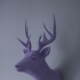 IMG_2302.jpg Free STL file Deer・3D printing template to download