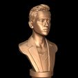 17.jpg Kim Soo-hyun bust sculpture 3D print model