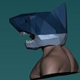 3.jpg shark head helmet