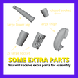SOME BCTRA PARTS You will receive extra parts for assembly Modular Prosthesis - bird