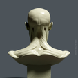 BACK.png Bust Écorché  for study + PDF anatomy manual