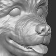 13.jpg Puppy of Bernese Mountain Dog head for 3D printing