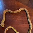 Serpiente y cascabel