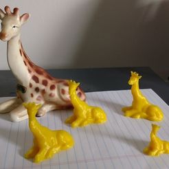 Giraffe_photo.jpg Giraffe model