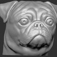 15.jpg Pug head for 3D printing