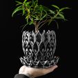 DSC00442-1.jpg 入侵者花盆 by MODERN MACHINE