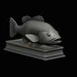 Peacock-Bass-statue-4-3-18.png FISH in motion Peacock bass (Cichla ocellaris) stone base for 3d printing